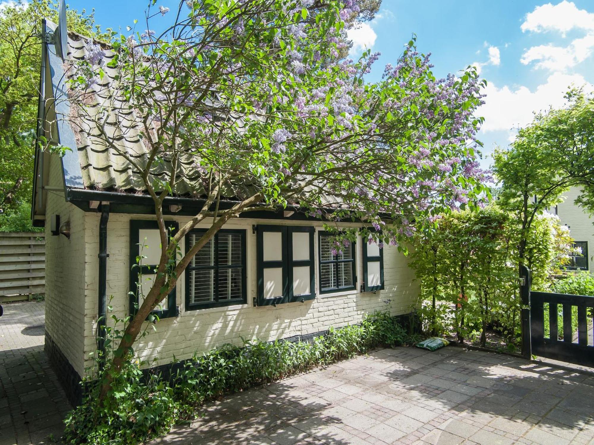 Pleasing Holiday Home In Schoorl With Patio エクステリア 写真